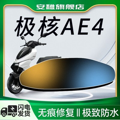 极核AE4专用仪表膜春风zeeho电摩电动车屏幕贴膜贴纸装饰改装配件
