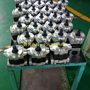 天津岛津液压油泵齿轮泵DSG05A25F9H1 R225C叉车齿轮泵挖掘机油泵