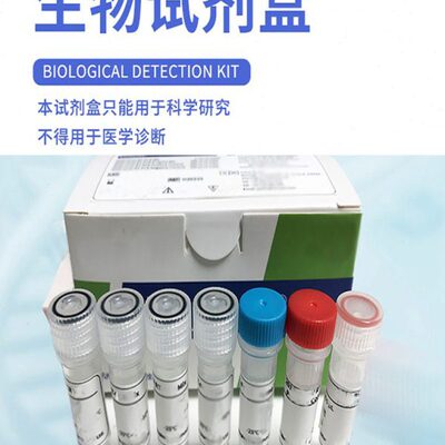 小鼠（Mouse）多功能肽酶2（LMP2） ELISA检测试剂盒