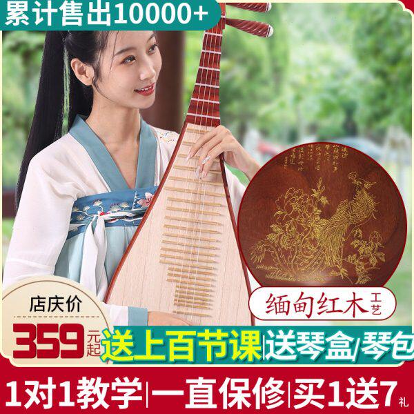 九德 | 琵琶乐器初学入门成人儿童弹拨红木琵琶演奏考级民族乐器