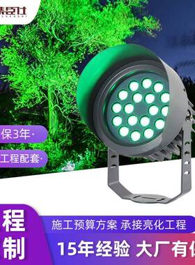 直销led大功率投光灯户外防水超亮照树灯景观花园室外射树灯