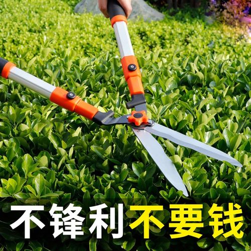 绿化草坪剪园艺剪刀省力修剪树枝粗绿篱修花花卉园林剪枝修枝剪大