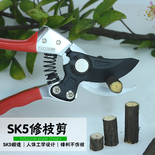 剪枝园艺剪刀剪树枝修枝剪果树枝剪葡萄剪子园林剪花艺剪刀工具