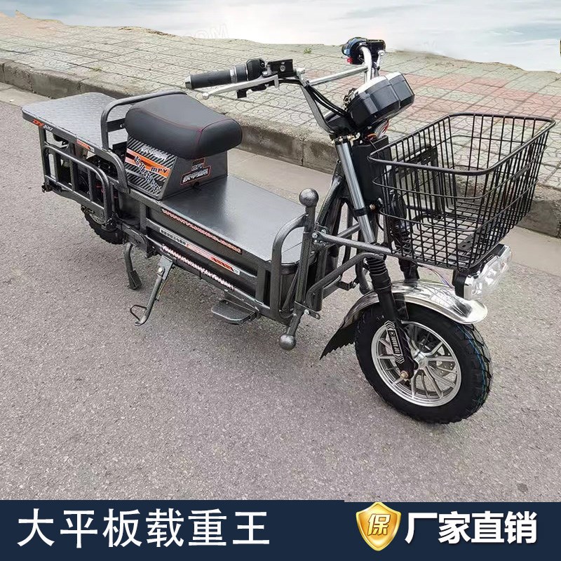 载重王电动瓶拉货型送餐大力神长跑爬坡两轮高速续航摩托车可上牌