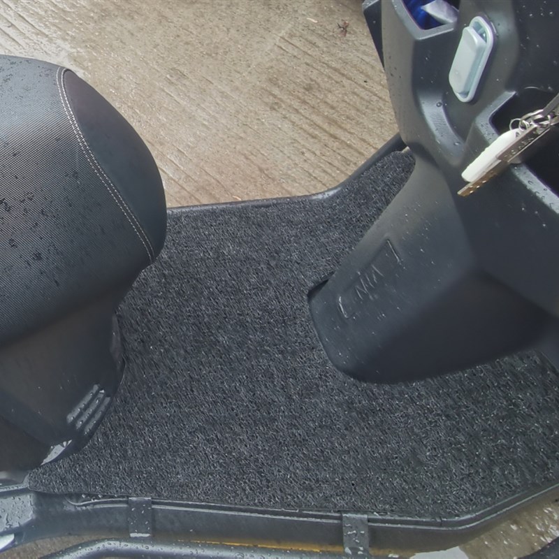 适用飞鹰乐行125摩托车脚垫FY110T-9飞鹰UFR125防水丝圈脚踏板垫