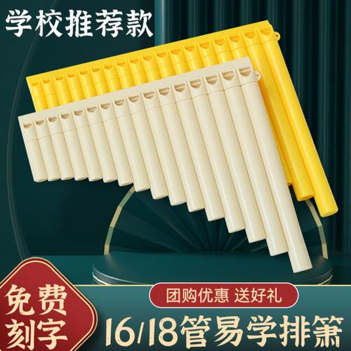 易学排箫16管18管儿童专业演奏民族乐器小学生初学者入门专用排笛