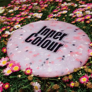 翼鲲175g飞盘Inner 比赛极限飞盘 Color户外运动专业团队飞盘