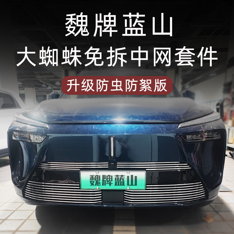 长城魏牌蓝山防虫网前脸中网魏派蓝山改装装饰条汽车用品配件