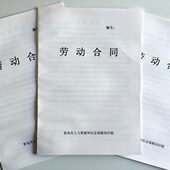 用工合同 通用空白合同 青岛专用合同 青岛 青岛市 包邮 劳动合同