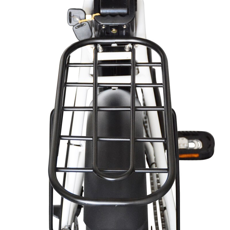 电动助力自行车20寸48V沙滩车折叠雪地车锂电池4.0胎代步山地单车