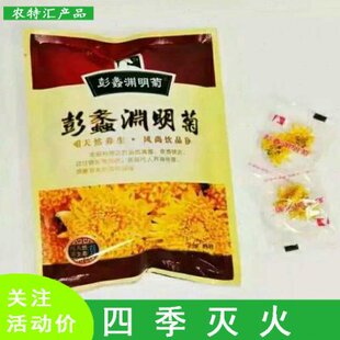 彭蠡渊明菊金丝皇菊精选菊花茶一朵一杯黄菊贡菊茶叶包邮