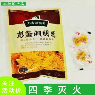 彭蠡渊明菊金丝皇菊精选菊花茶一朵一杯黄菊贡菊茶叶包邮