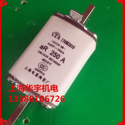 170M3816 170M3816D 250A 保险丝 690V/700V 熔断器