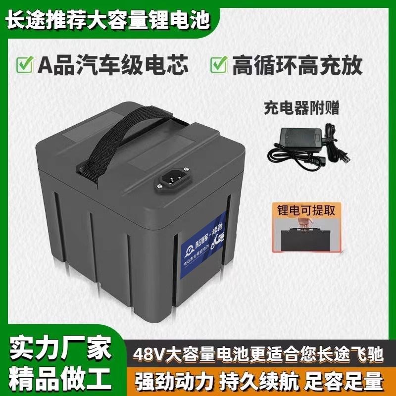 新国标48V锂电池爱玛绿源新日60V电动车电瓶外卖车铅酸换锂电原装