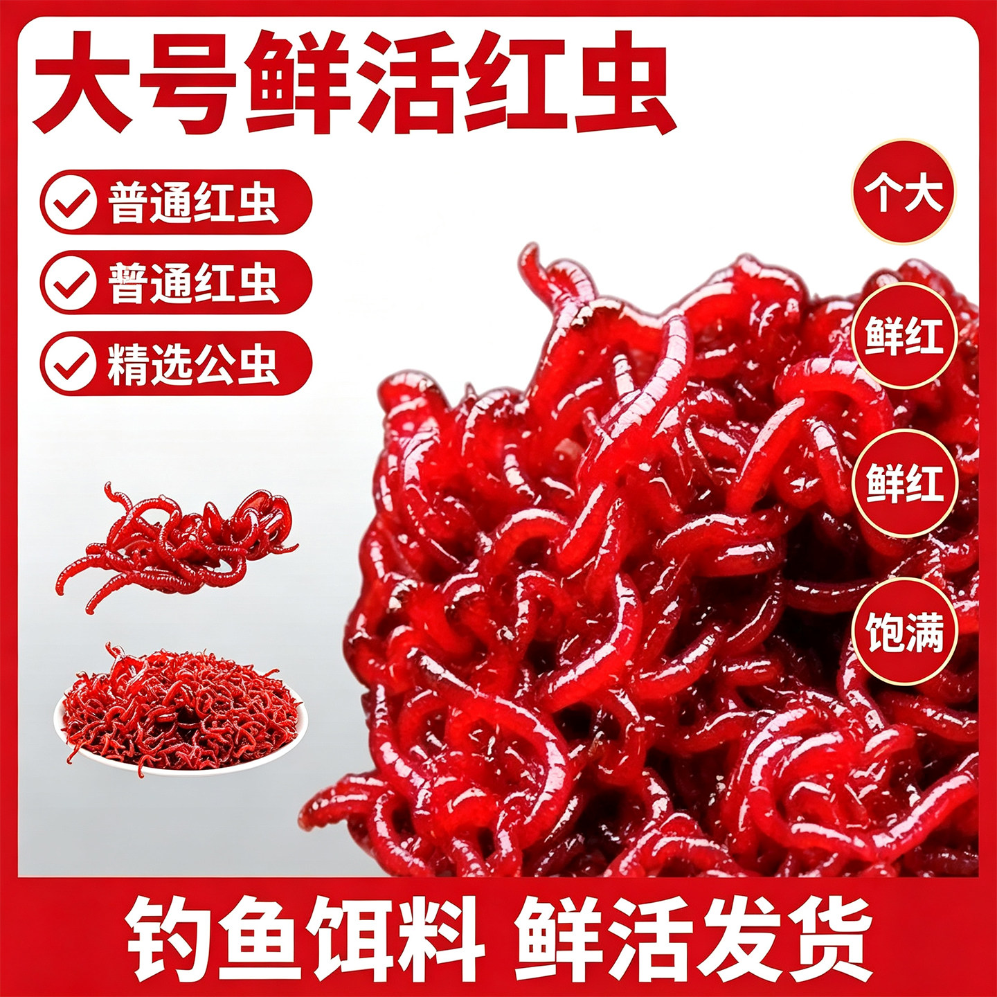 鲜活特大红虫公虫活饵鲫鱼野钓