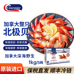 clearwater清水北极贝1kgS加拿大鲜活熟冷冻刺身海鲜日料商用寿司