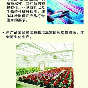 原装进口洛伽泥炭 白泥炭藓土 多肉播种 育苗W 扦插 上盆