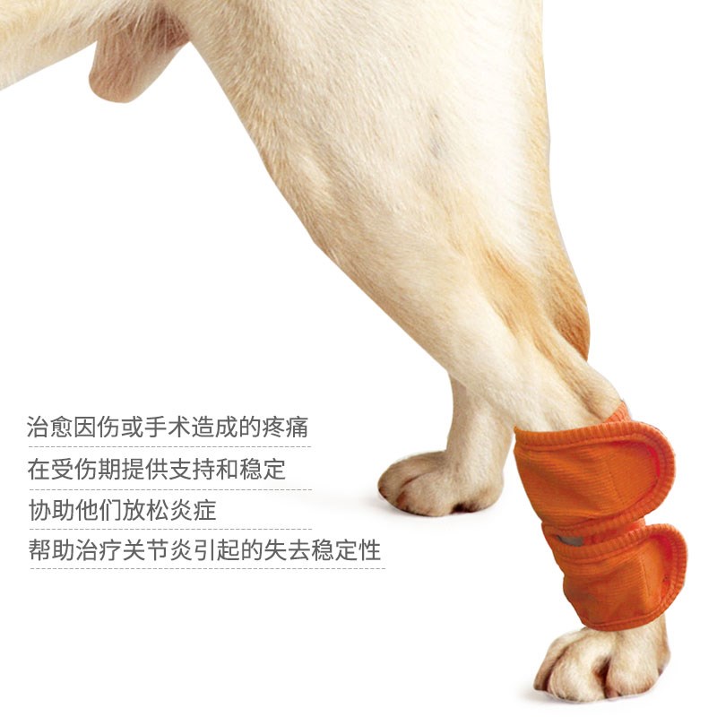 狗猫咪护膝关节保护术后恢复支撑护理老年狗护腿伤口防舔宠物绷带