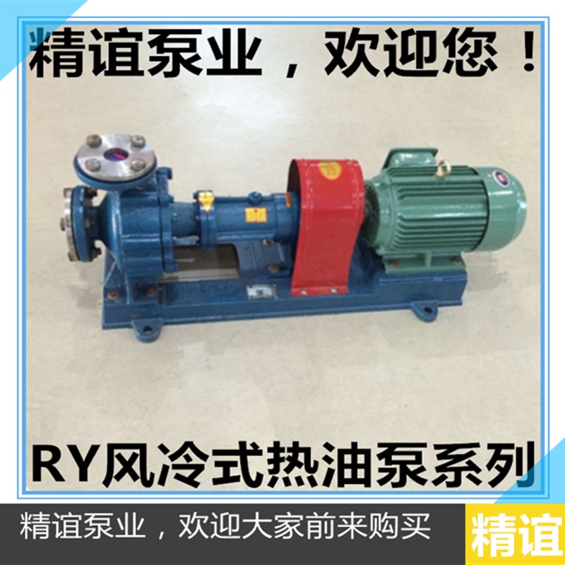 高温导热油泵RY65-50-160锅炉循环导热油泵抽油泵输送热油泵