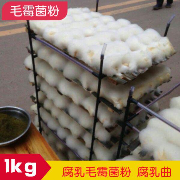 小家君毛豆腐菌毛霉菌粉霉豆渣霉千张腐乳曲1kg红臭豆腐菌曲粉