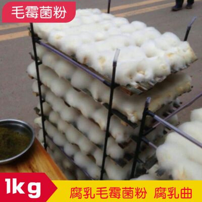 小家君毛豆腐菌毛霉菌粉霉豆渣霉千张腐乳曲1kg红臭豆腐菌曲粉