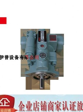 P36-A1-F-R-01 P22-A1-F-R-01 P08-A2-F-R-01 P70-A4-F-R-01油泵