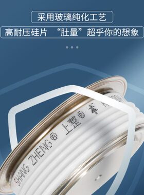 上整快速高中频晶闸管平板KA KG KK800A1600V磁立瘦 美容仪可控硅