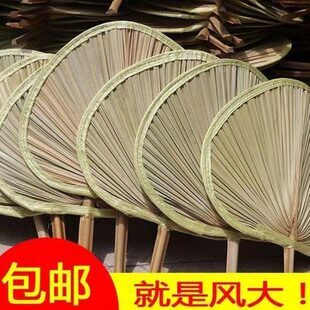 蒲扇新款扇子夏天耐用芭蕉叶蒲葵扇凉快风大手编蒲扇大尺寸结实日
