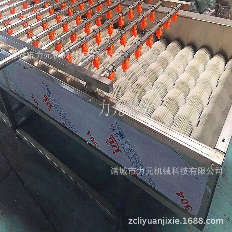 平行毛刷水果清洗机喷淋平行毛辊清洗机山楂海蛎子平行清洗设备