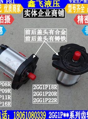 2GG1P08R 09R 11R 2GG1P16R 2GG1P18R 2GG1P20R 2GG1P22R齿轮泵
