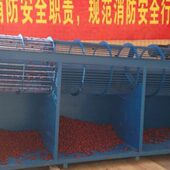 红枣青枣狗头枣筛选机灰枣震动分选机电动分级筛滚筒筛分机分大小