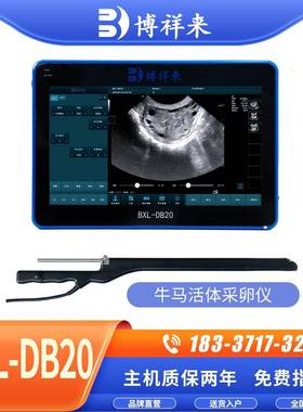 牛用活体采卵仪OPU牛马采卵B超机BXL-DB20高效活体采卵B