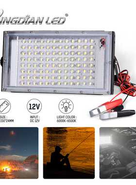 DC12V 低压鳄鱼夹子LED投光灯100W高亮度防水户外庭院泛光灯