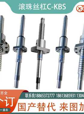 滚珠丝杠E-TBS/KBS C-TBSE/TBSB1520/2005/2010/2020/2505/2510