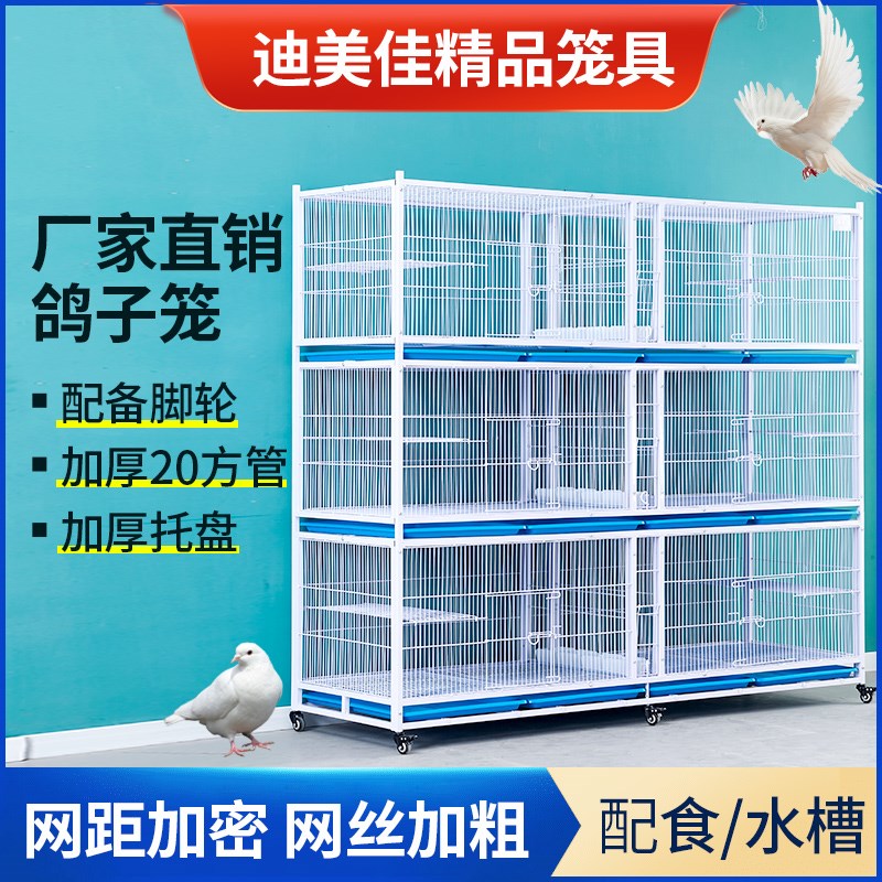 鸽子笼公棚赛鸽笼配对笼子隔离笼加密防黄鼠狼鸽子笼鸡笼鸽舍笼子
