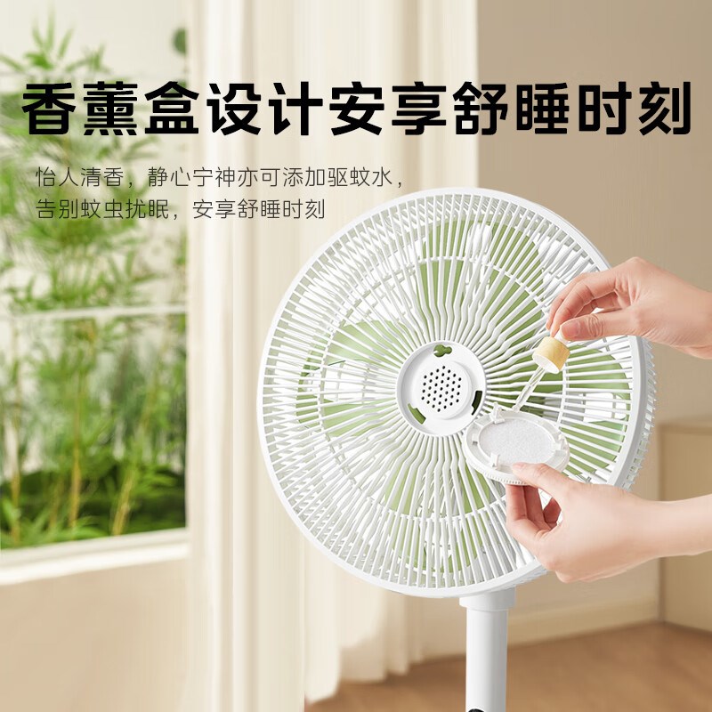电风扇落地扇家用遥控大风立式静音摇头直流变频电扇新款30RX