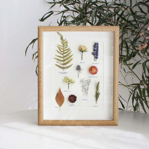文艺植物手作标本装饰画挂画照片墙干花相框民宿家居摆件创意礼品