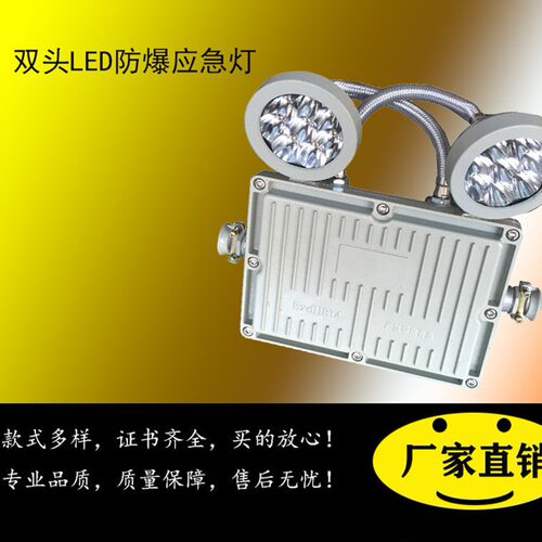 防爆应急灯防爆型矿用应急灯停电照明BY11-L2/2B2