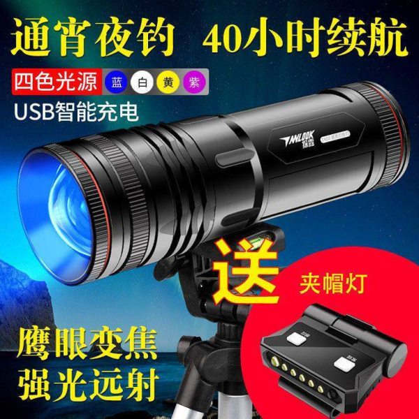 德国进口夜钓灯钓鱼灯紫光台钓亮鱼灯大功率拉饵充电蓝光手电筒强
