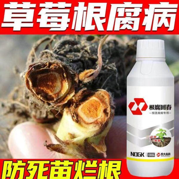 草莓根腐病专用针对根腐快救草莓红中柱根枯沤根烂根死根死苗烂棵