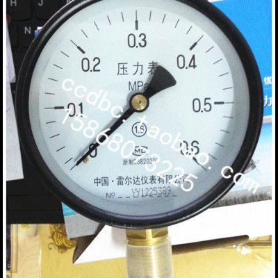 雷尔达仪表 弹簧管 普通压力表 Y-160 全规格 (LEIERDA)