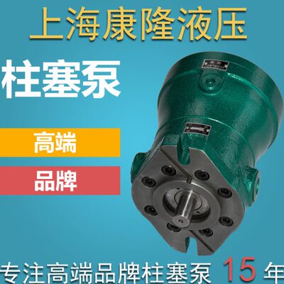 启东恒宇2.5/10/16/25/40/63/80/100/160/250MCY14-1D轴向柱塞泵