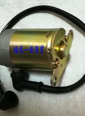 大阳踏板DY48QT-2/48QT-2A/50QT-8 POPO 跑跑50马达 启动起动电机