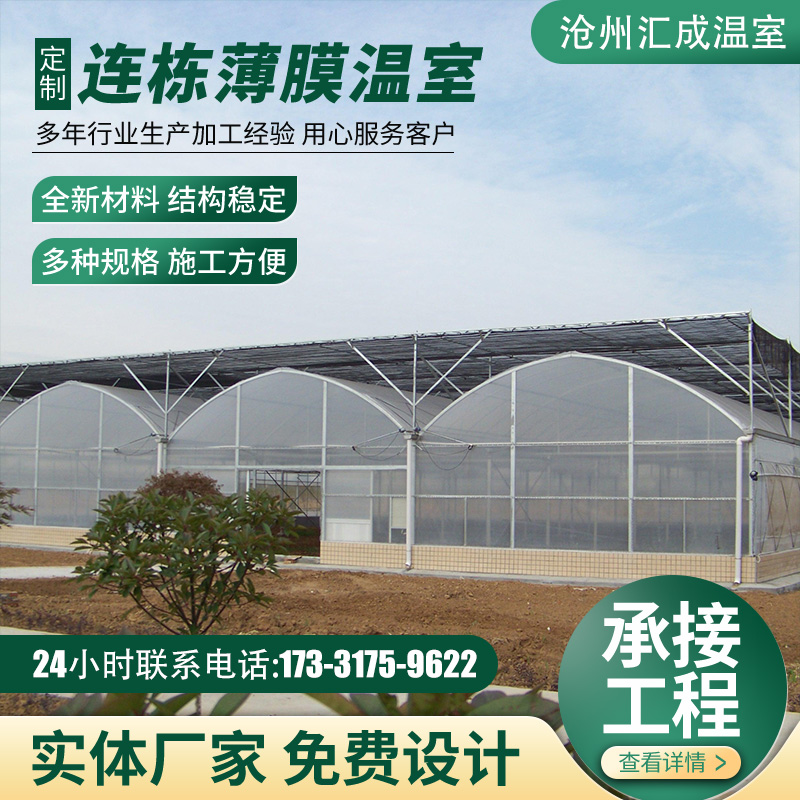 连栋温室全套大棚联动薄膜温室 温室大棚钢管骨架蔬菜育苗大棚