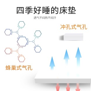 诺伊曼天然乳胶床垫泰国原装进口1.8米1.5m学生宿舍单双床垫定制