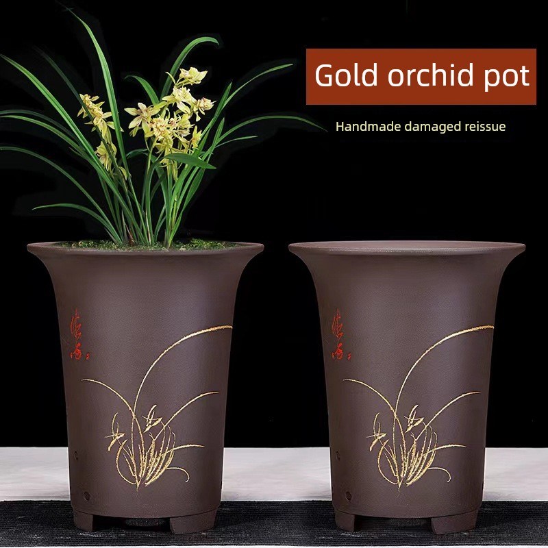 兰花花盆兰花花盆多肉花盆紫砂花盆花木花盆Clivia花盆室内花卉种