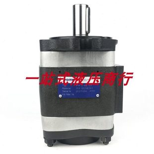 IPVP3 101 IPVP4 171 德国VOITH福伊特齿轮泵IPVP3