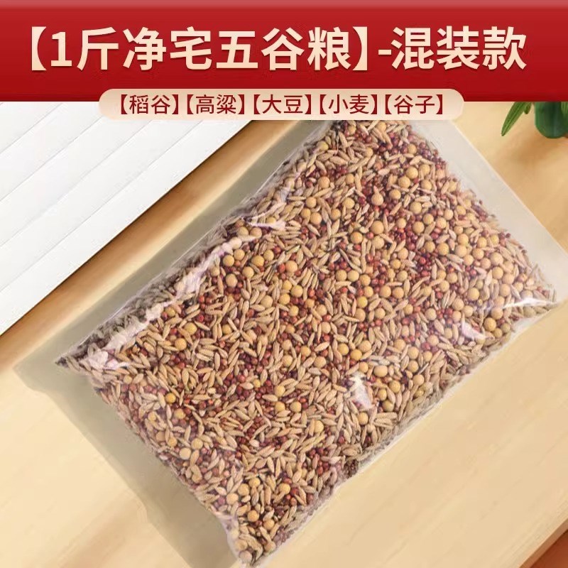 五谷丰登杂粮净宅摆件新房开业乔迁之G喜搬新居装饰入宅仪式用品