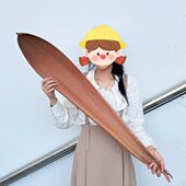 巴西进口超大号可可叶真干花植物摆件样板房装 饰托盘树叶拍摄道具