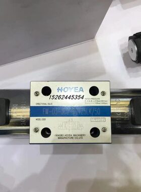 HOYEA电磁阀FW-03-2B2-D24Z5LK/50 FW-03-2B3/2B8/2B2L/2B3L/2B8L